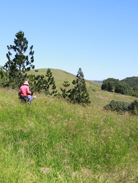Re-enlivening Natural Law in Agriculture for Supremely Pure, Nourishing Food