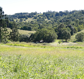 WE’RE A HOLISTIC LIFESTYLE FARM