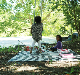 WE’RE A HOLISTIC LIFESTYLE FARM